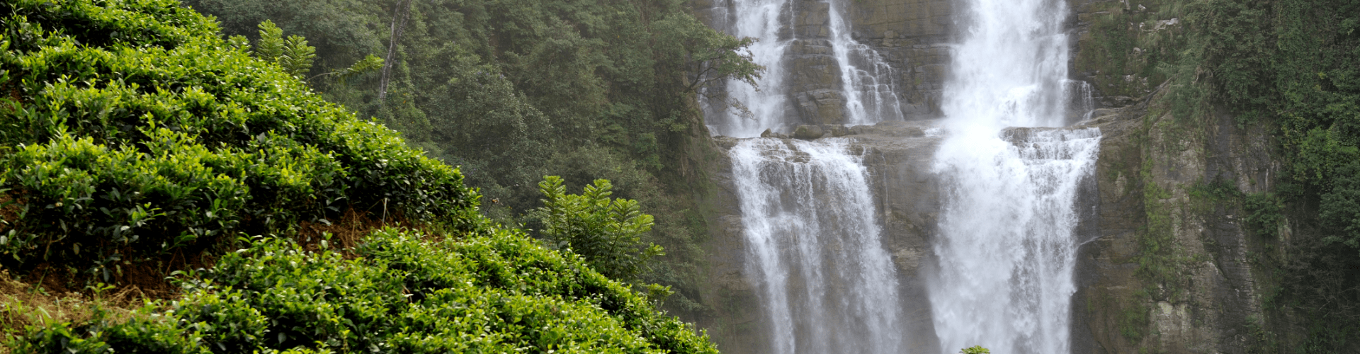Coorg Tour