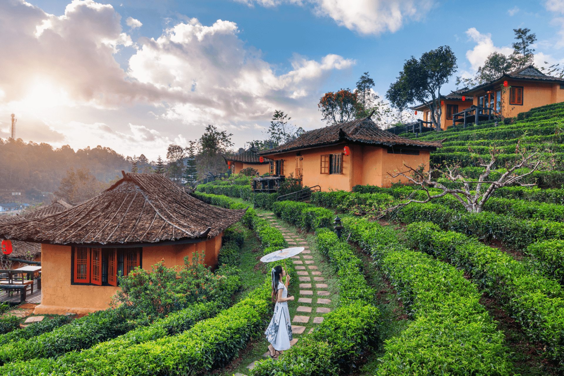 Travel Image 1